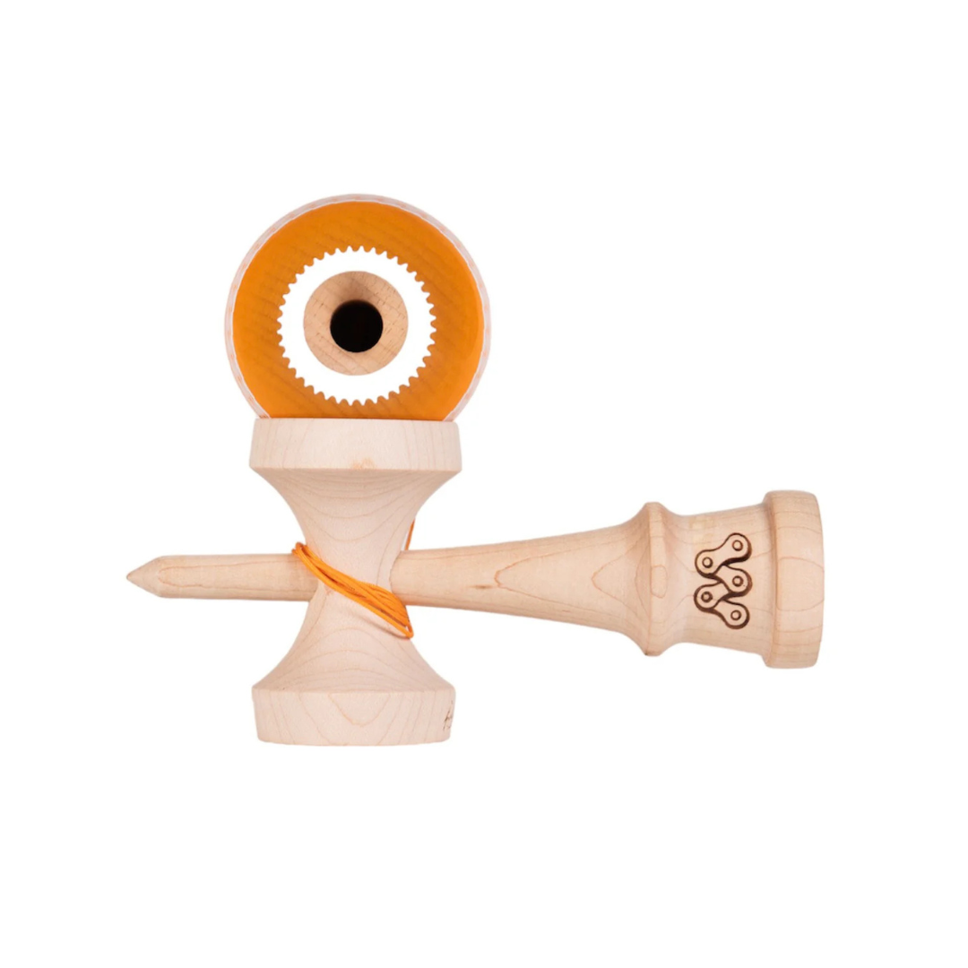 Motty Pro Model
